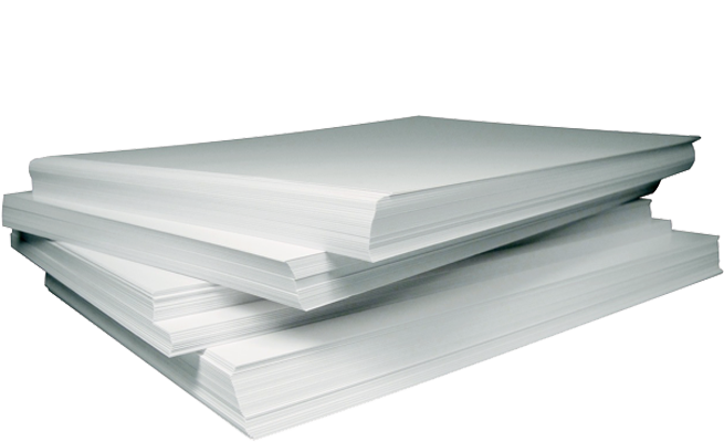 variedad de papeles en Guadalajara